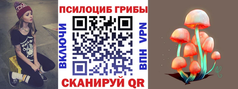 купить   Весьегонск  Галлюциногенные грибы Magic Shrooms 